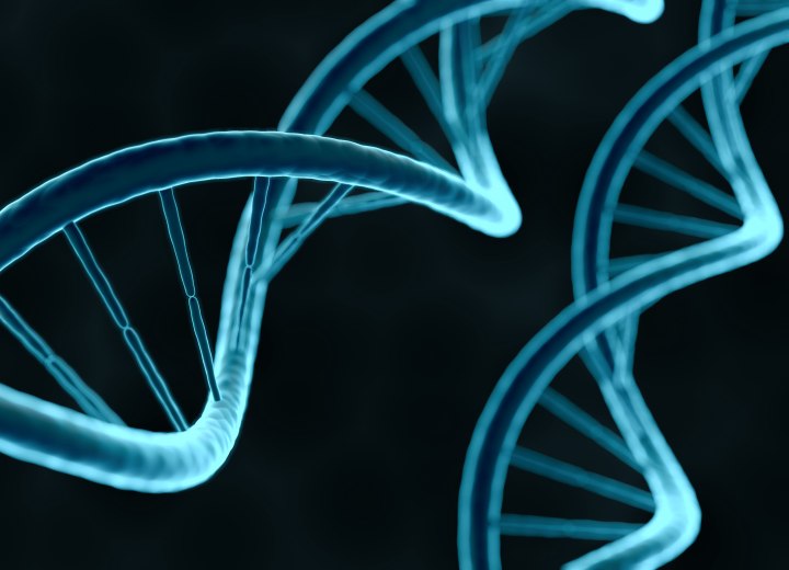 DNA di una persona