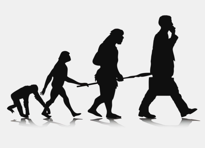 Evoluzione umana